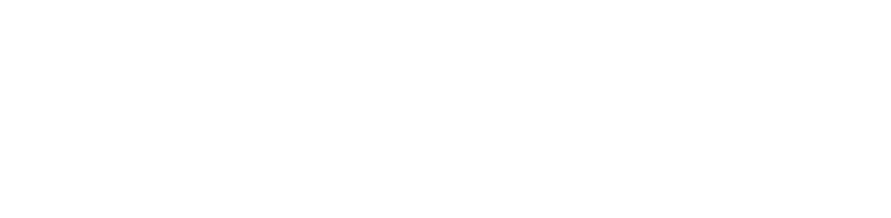 Parallel Minds Logo